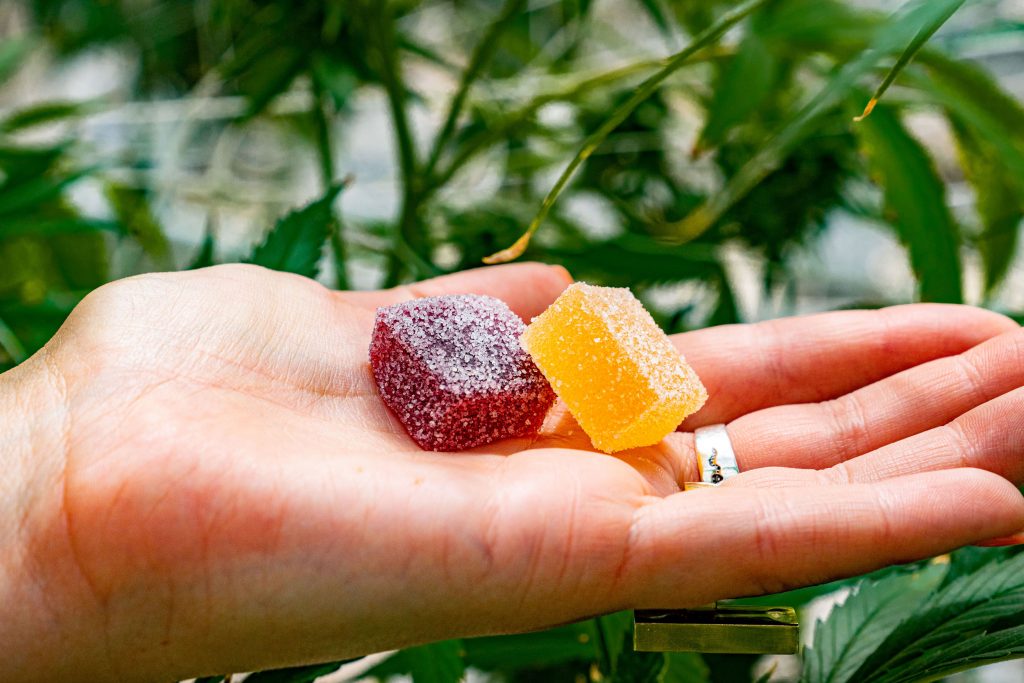 Organic CBD Gummies in New Brunswick